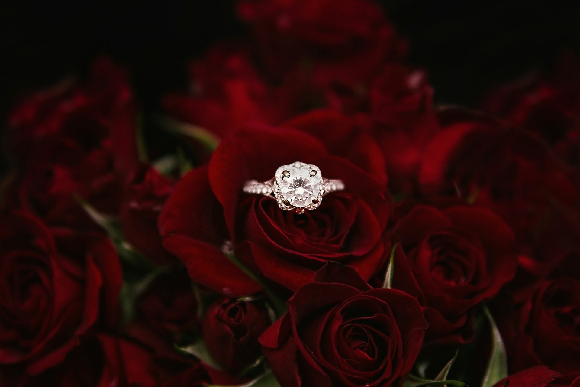 Engagement ring on red roses bouquet for romantic proposal